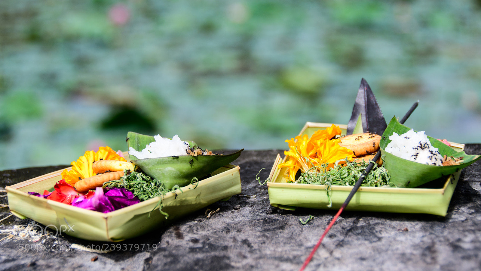 Nikon D7500 sample photo. Offerings photography