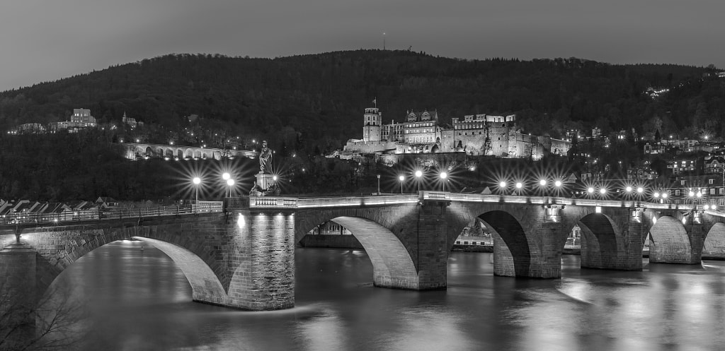 Heidelberg Castle at Night by Manfred Münzl on 500px.com