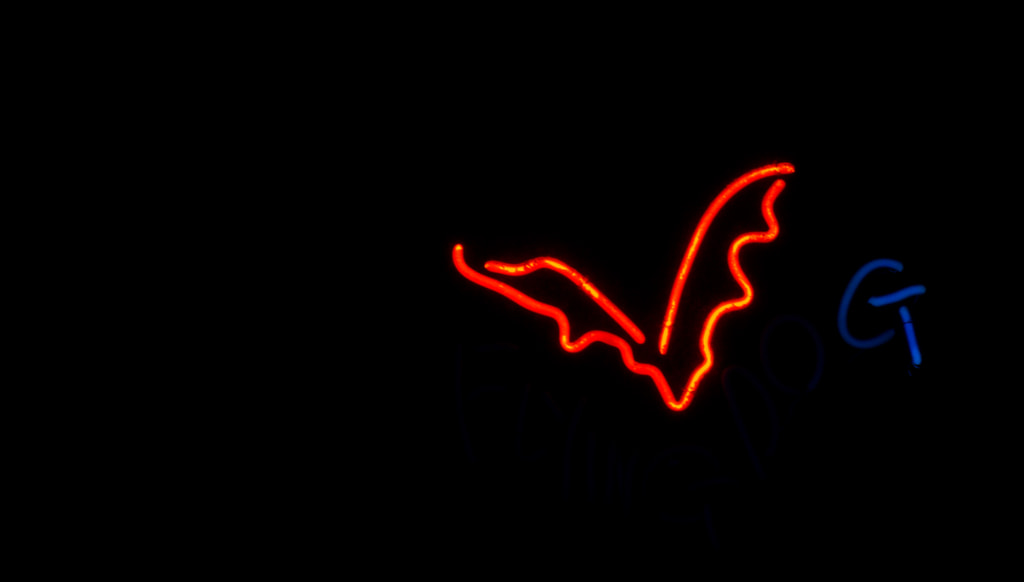 Neon bat by pronate on 500px.com