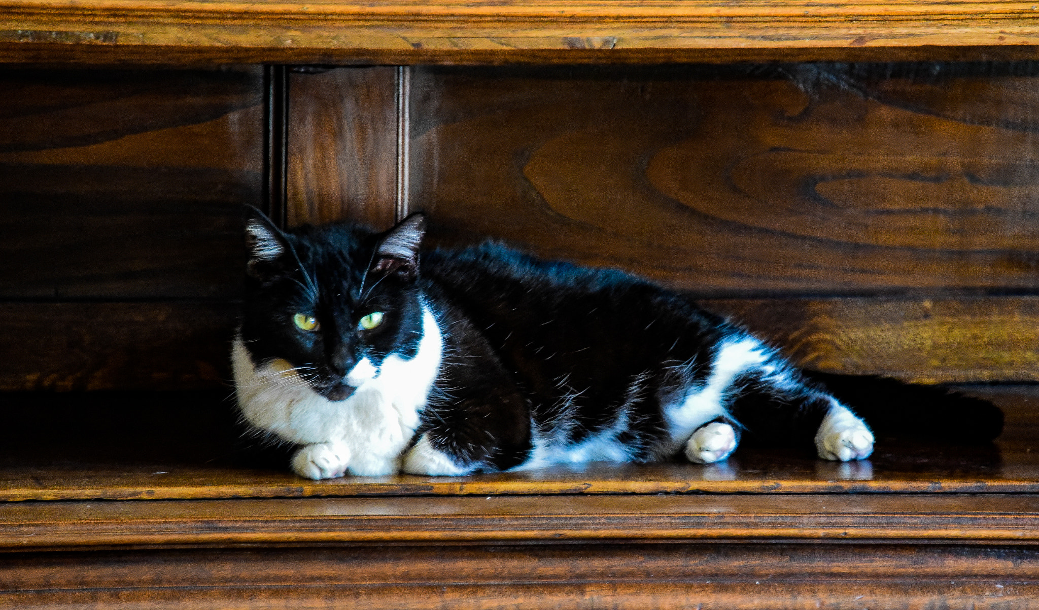 queen of sheba