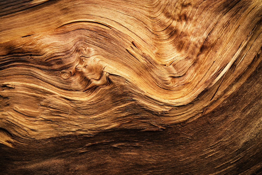 abstract detail of a wavy split wood by Jozef Jankola on 500px.com