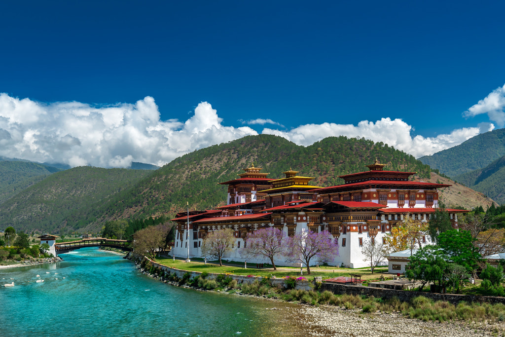 Punakha Dzong by Pavel Aberle on 500px.com