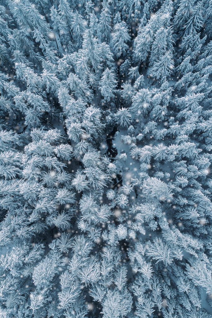 This is why I love winter by Nick Verbelchuk on 500px.com
