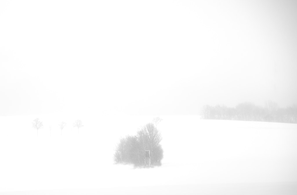 white von dirk derbaum auf 500px.com