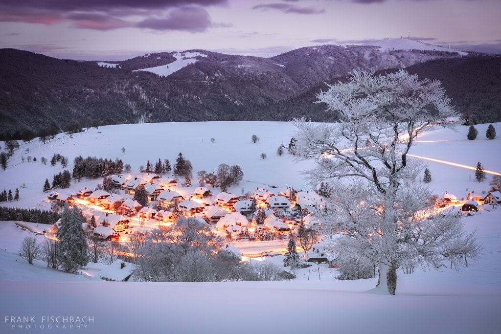 Winter in Black Forest, Germany by Frank Fischbach on 500px.com