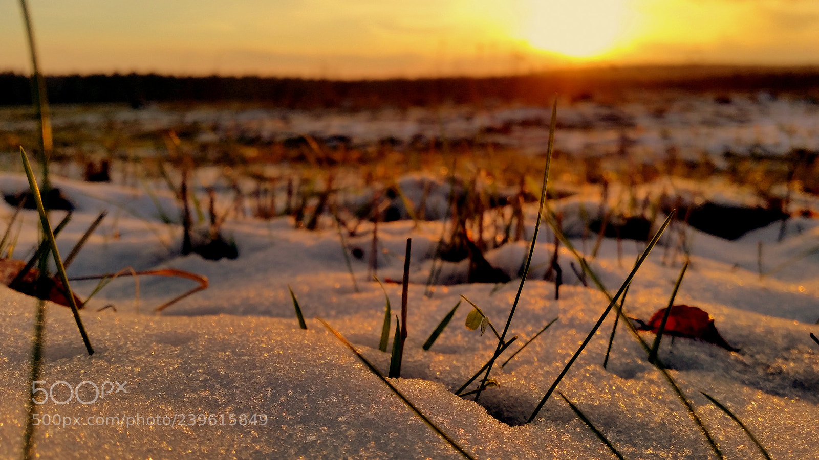 Samsung Galaxy S5 sample photo. 20150201_162701.jpg photography