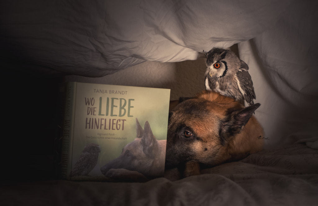 Time by Tanja Brandt on 500px.com