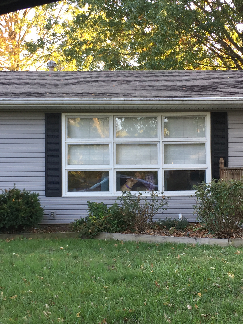 Untitled by Jacqueline and Kevin Reape on 500px.com