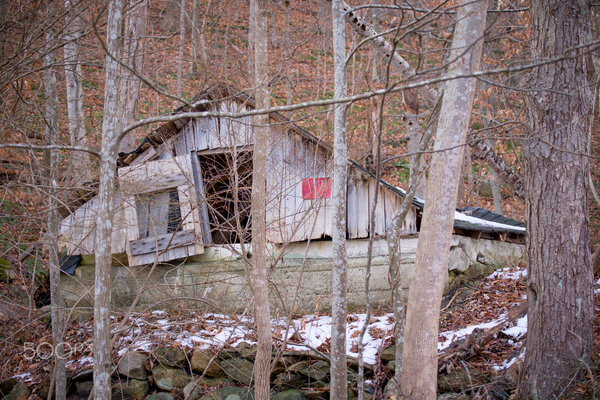 abandoned forest building