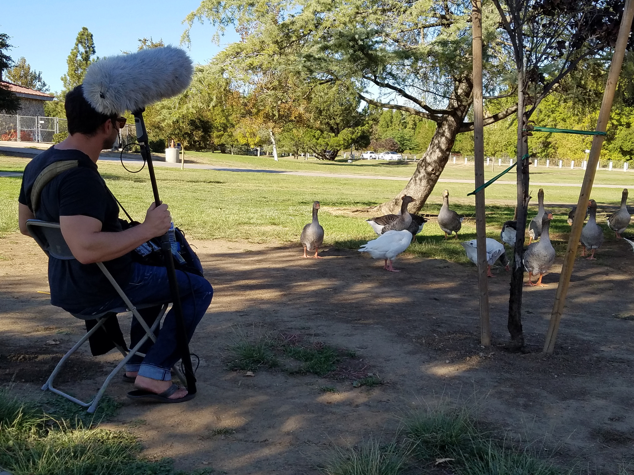 A Day Of Recording Nature