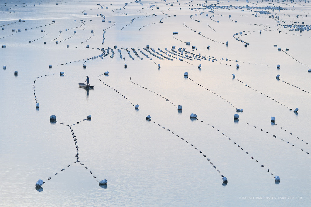 Ocean Farming by Marsel van Oosten on 500px.com