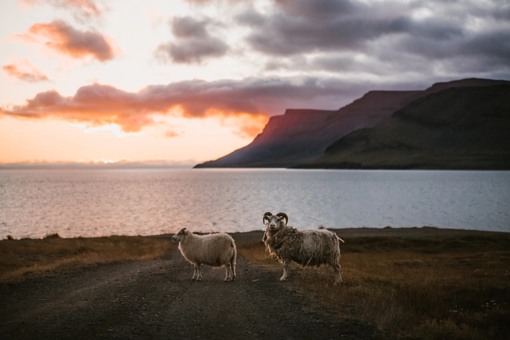 Westfjords by marina weishaupt on 500px.com