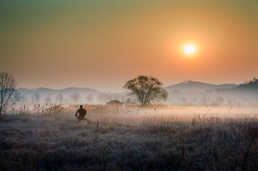 Going home, автор — moonriver  на 500px.com