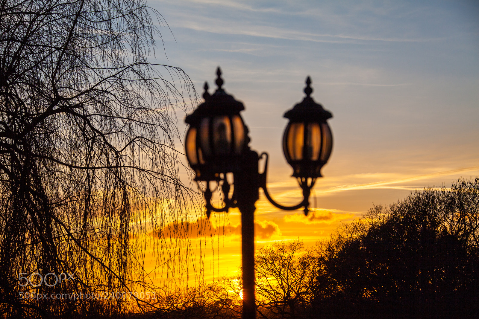 Canon EOS 5D Mark II sample photo. Untitled photography