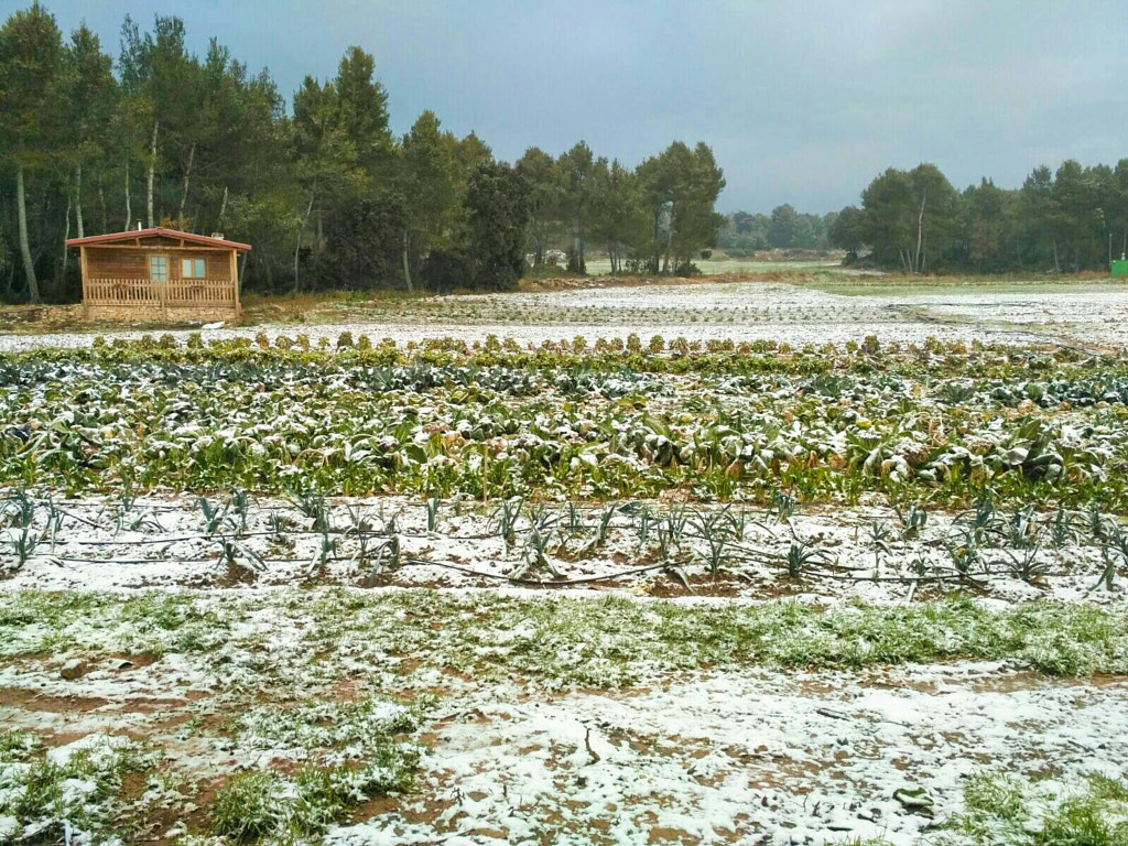 copia hort nevat by canfeixas on 500px.com