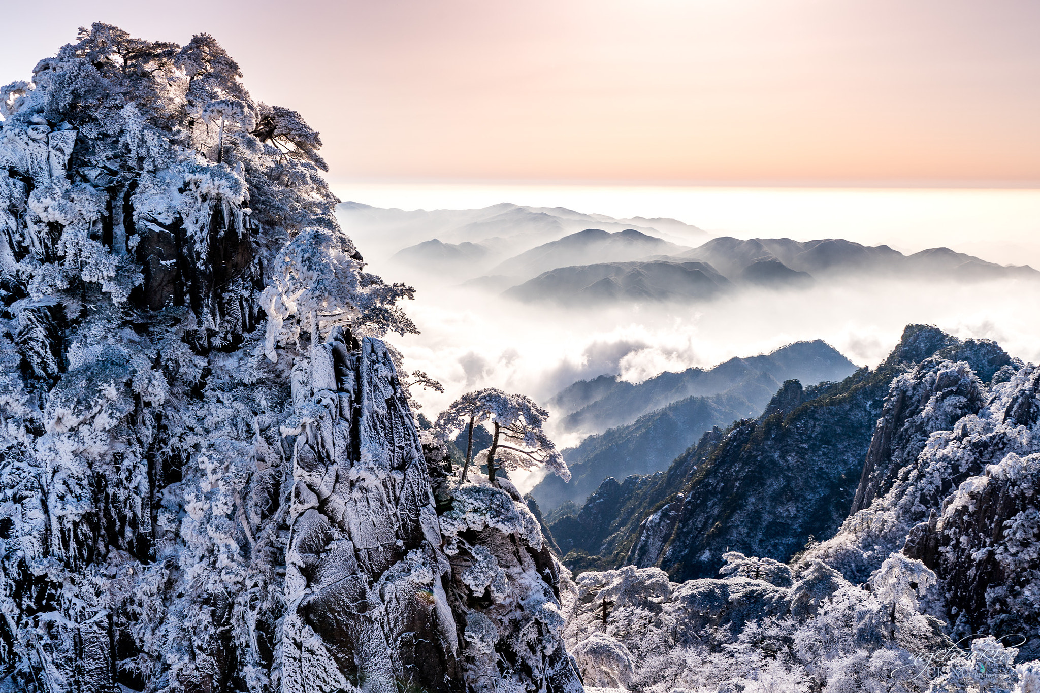 Huangshan Welcoming Pine 迎客松 - Huangshan - China