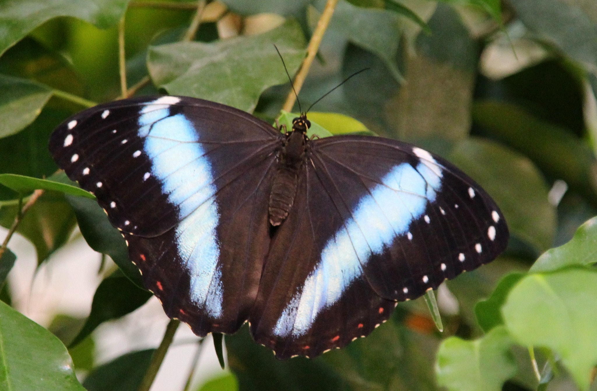 v2?sig=16f463a58d4d2791b5b8fe3e2e7e432dbdc74111c9e621bd566b1c45b936f53f