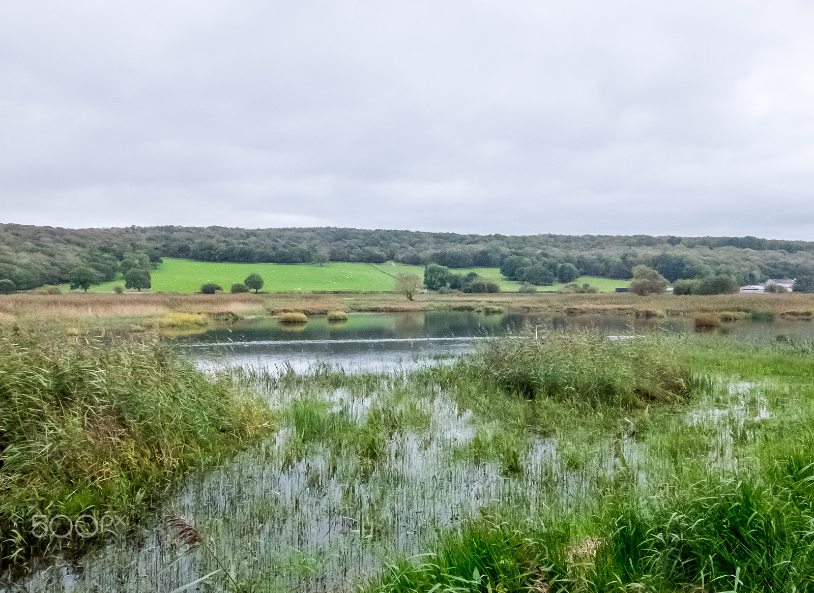 Fujifilm XQ2 sample photo. Leighton moss sky tower photography