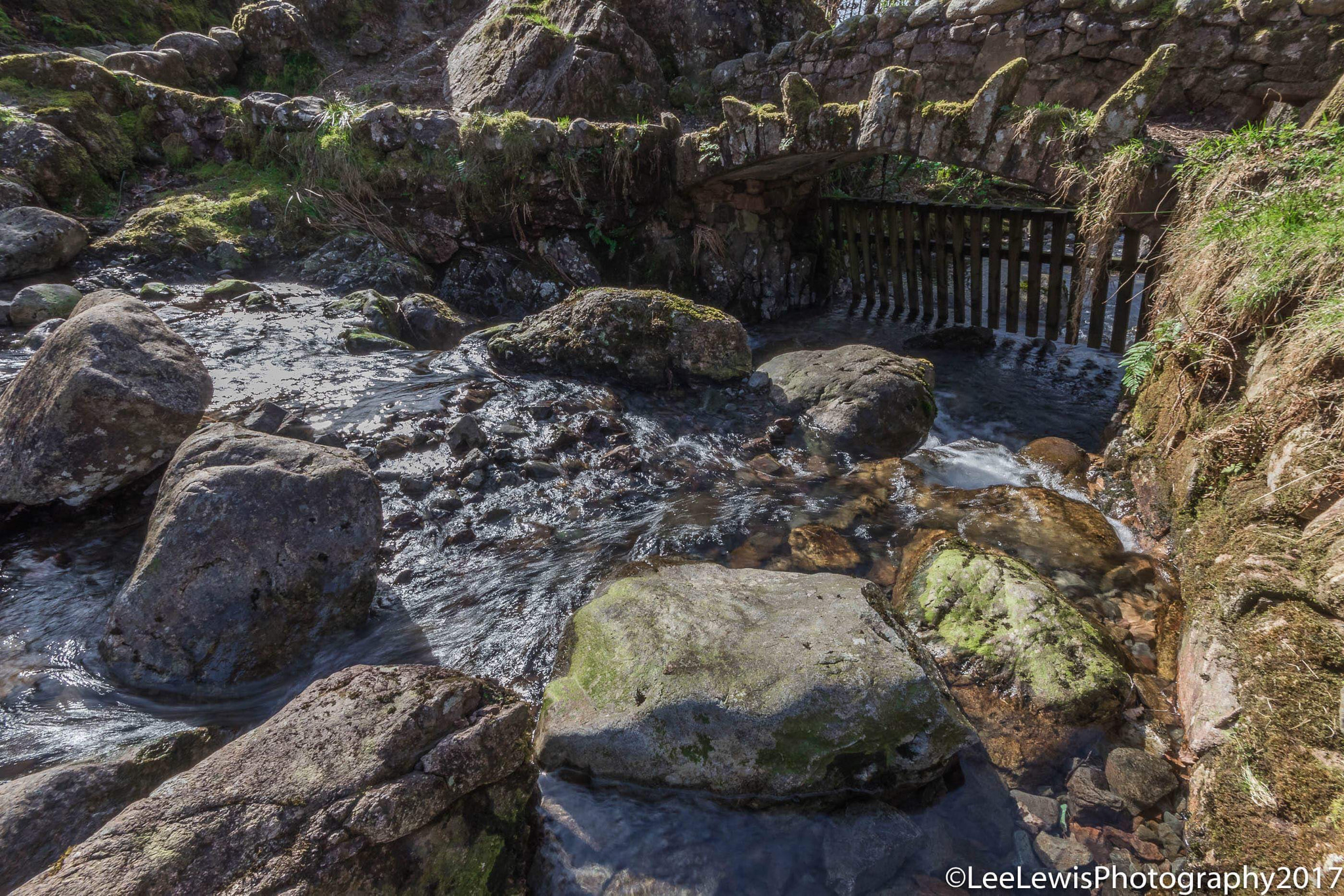 cumbria photographers