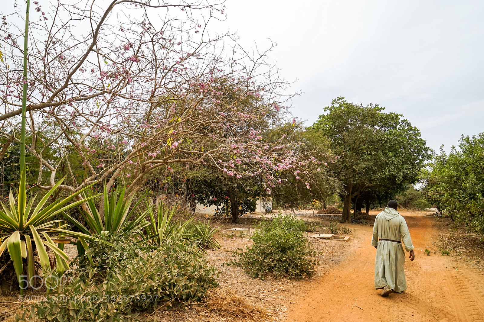 Sony a7 sample photo. Monastery garden photography