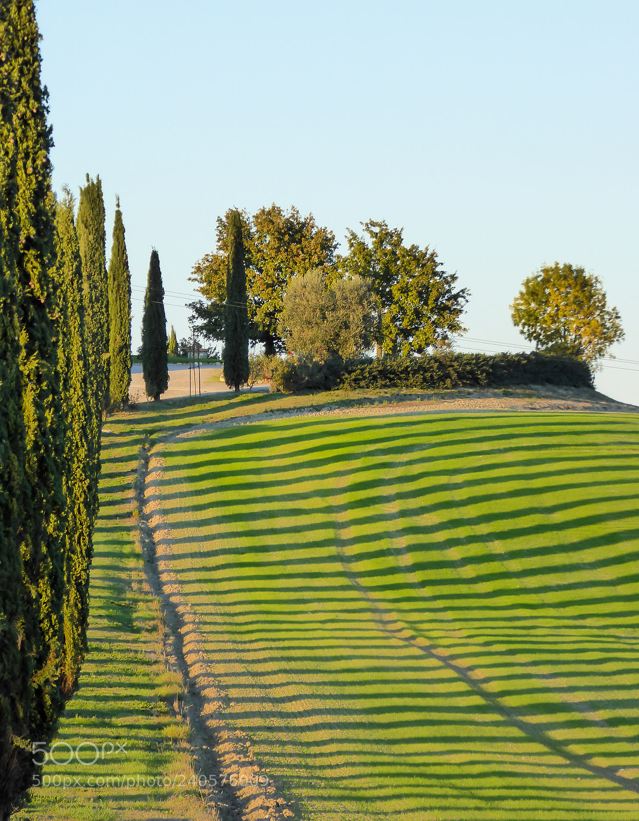 Panasonic DMC-TZ61 sample photo. Scenic shadow from cypress photography