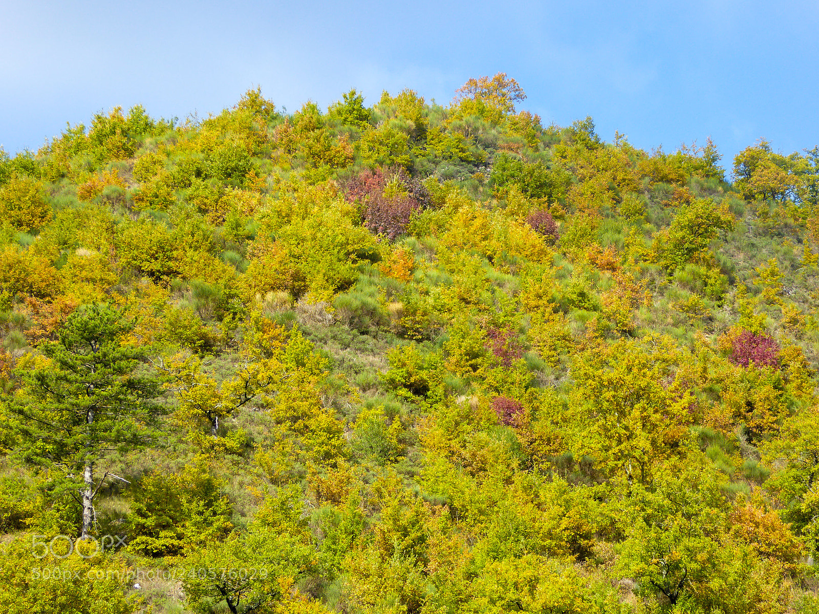 Panasonic DMC-TZ61 sample photo. Autumn in italy photography