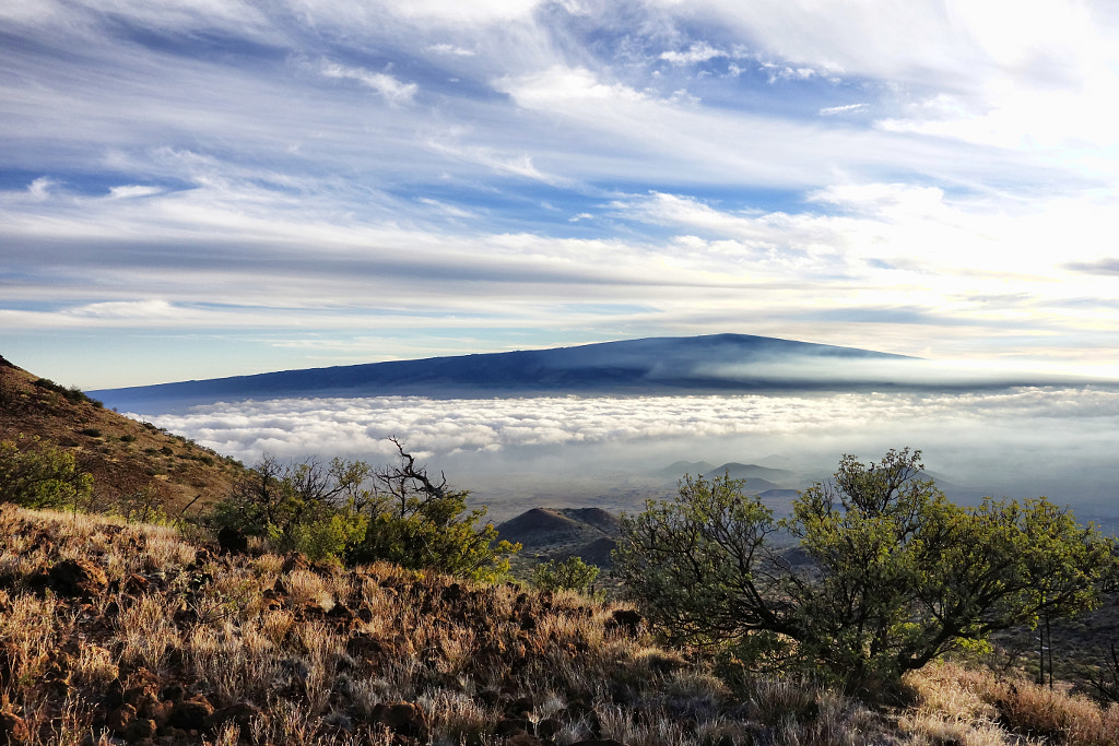 Photograph Mauna Kea1 by Angelika Sielken on 500px