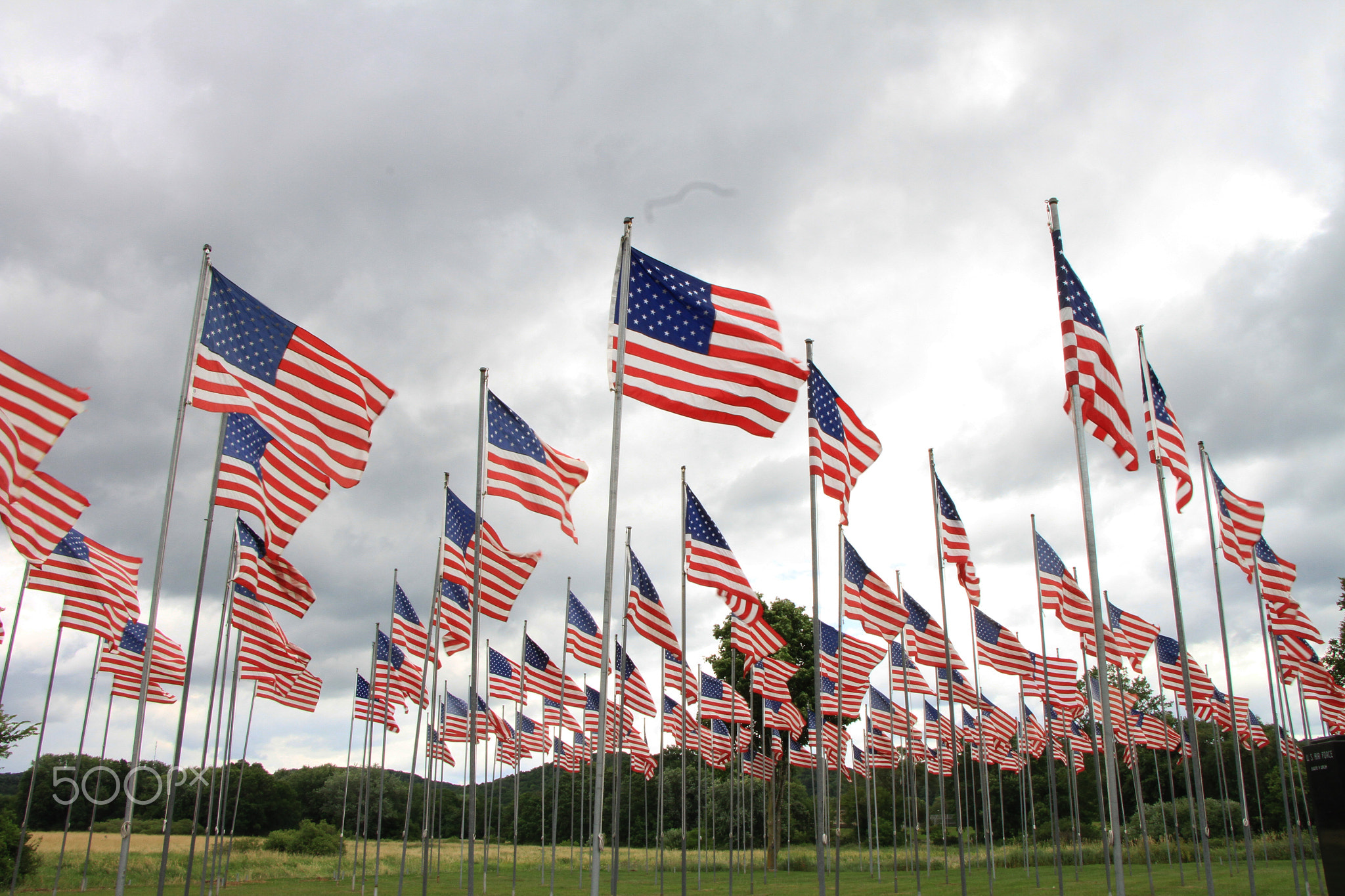 Wisconsin Vets