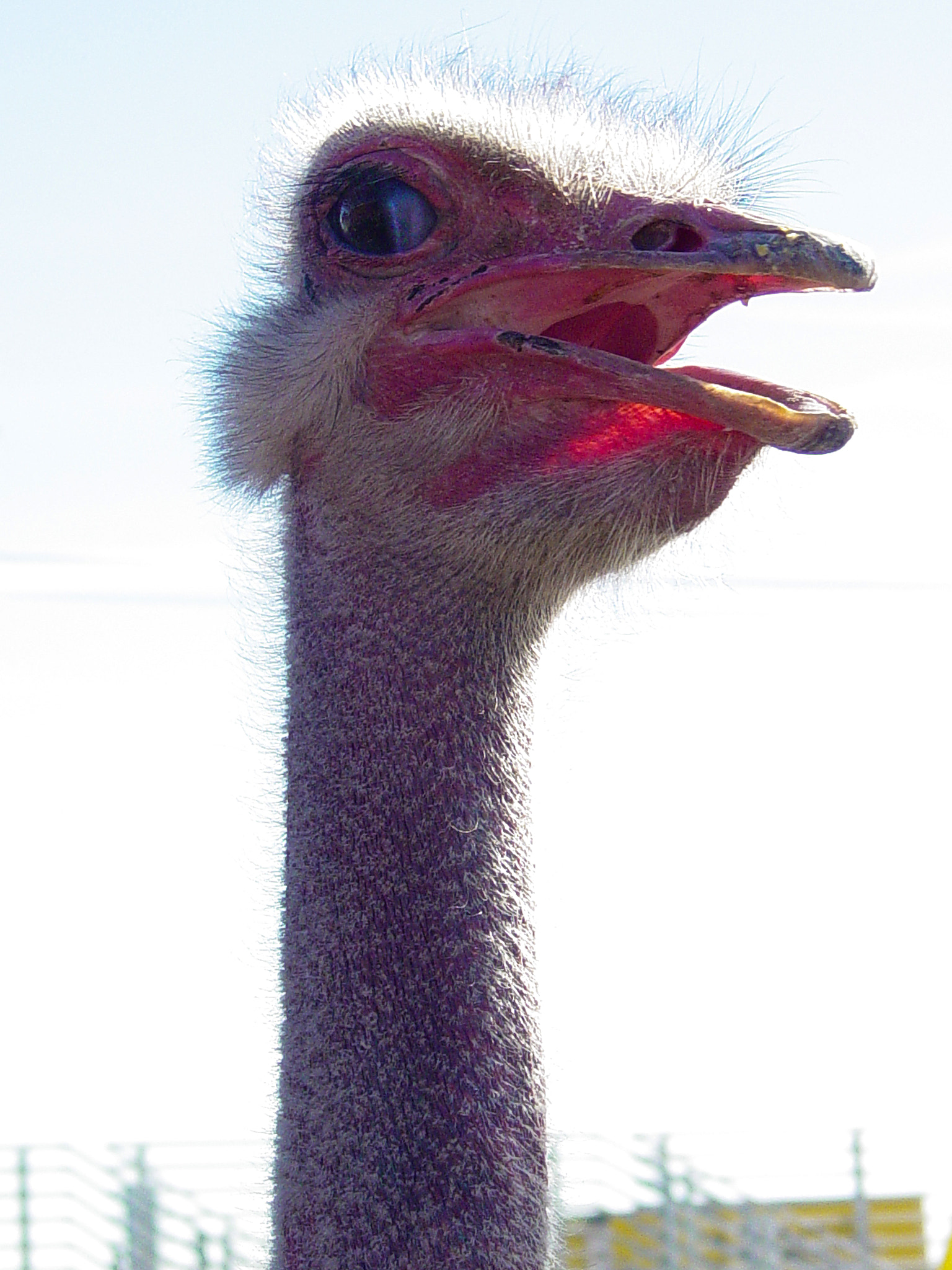 v2?sig=3c040d9c328e957a8a5844c68248bdd2f