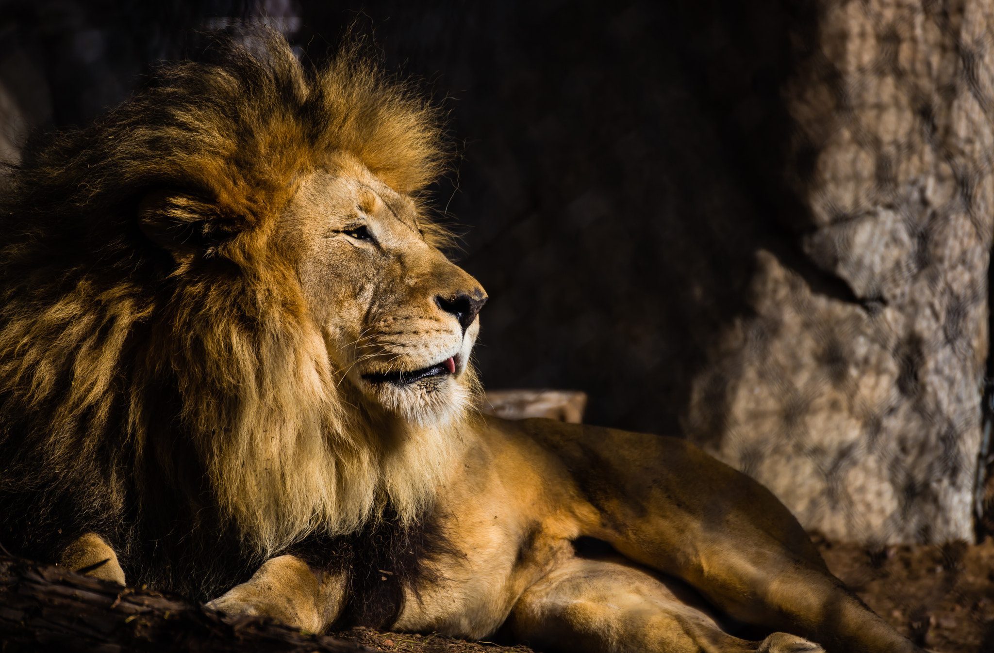 v2?sig=8753c996e6e4f2dfb5b78c779cc86d6db2828597c40074a401f5ba063c2aad3f