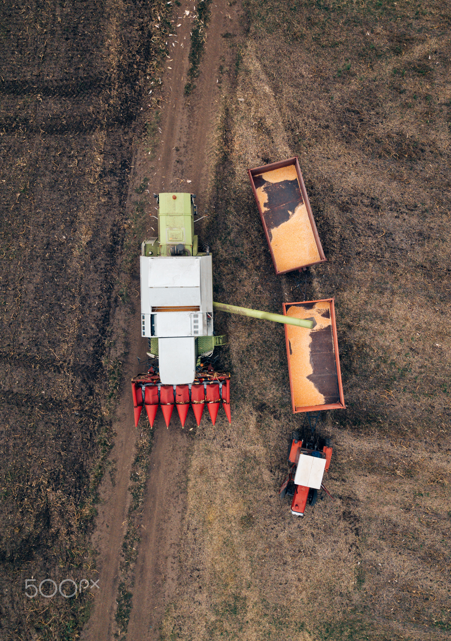 Aerial view of combine pouring harvested corn grains into traile