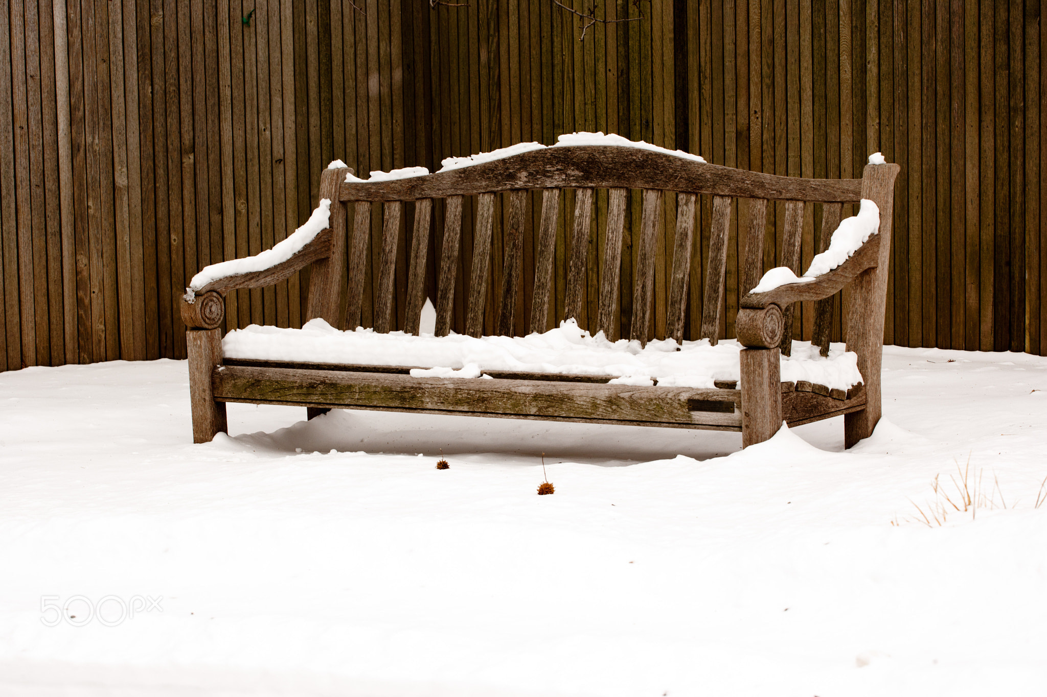 Park Bench & Snow