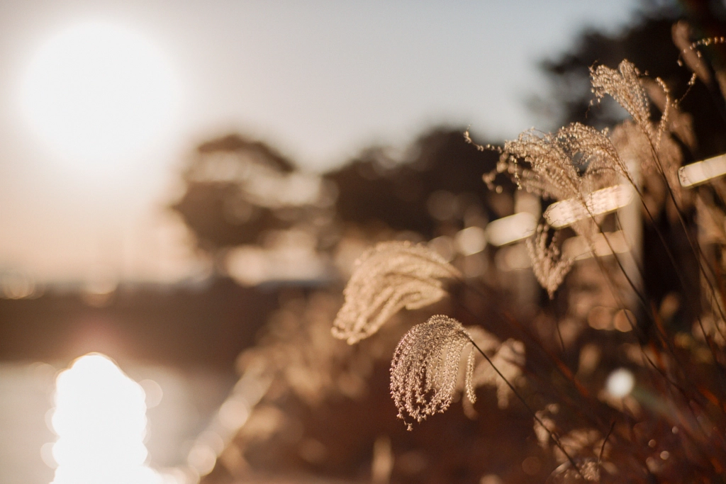 500px.comのfotois youさんによる2018 Sun Rise Japan