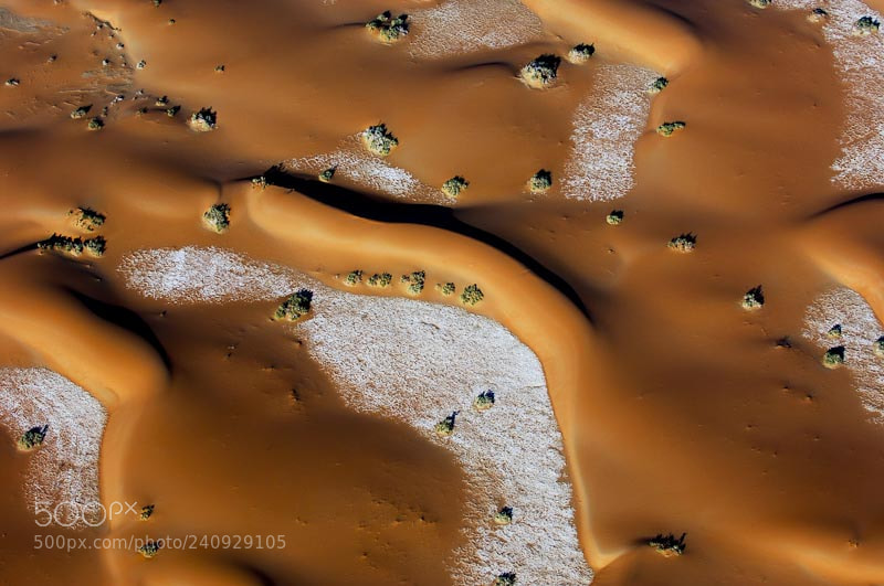 Nikon D2X sample photo. Desert snow: salt # 2 photography