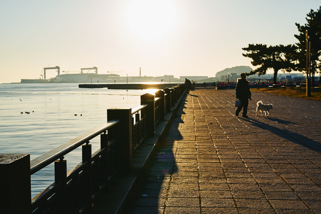 500px.comのfotois youさんによる2018 New Year - Sun Rise