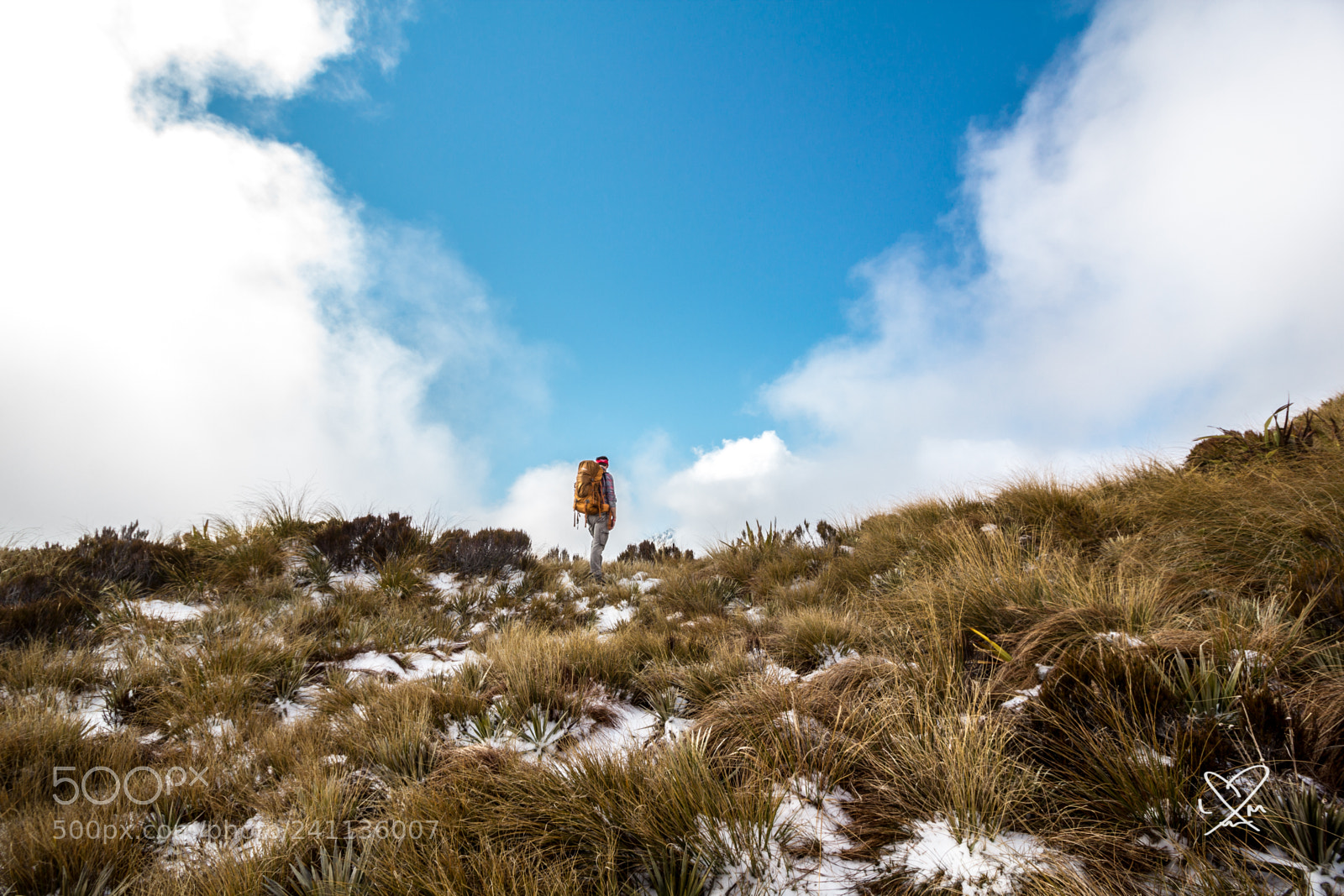 Canon EOS 60D sample photo. Newzealandadventures photography