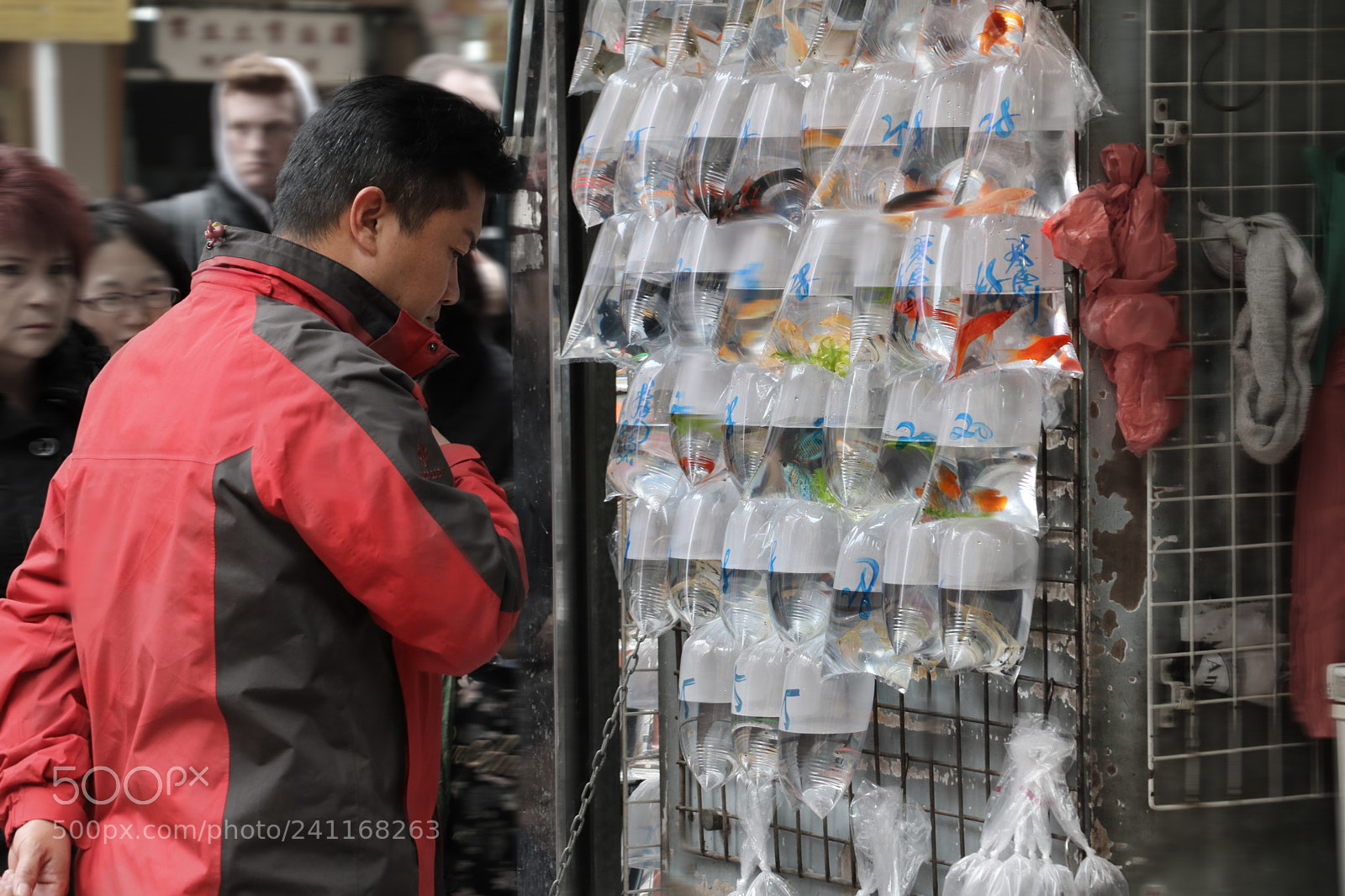 Canon EOS 760D (EOS Rebel T6s / EOS 8000D) sample photo. Busy street 06 photography
