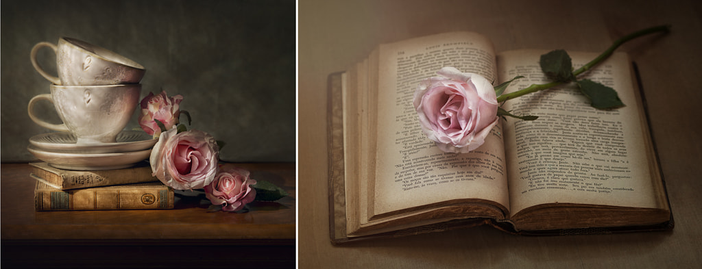 Rosas, té y libro,   Pilar Montes  500px.com