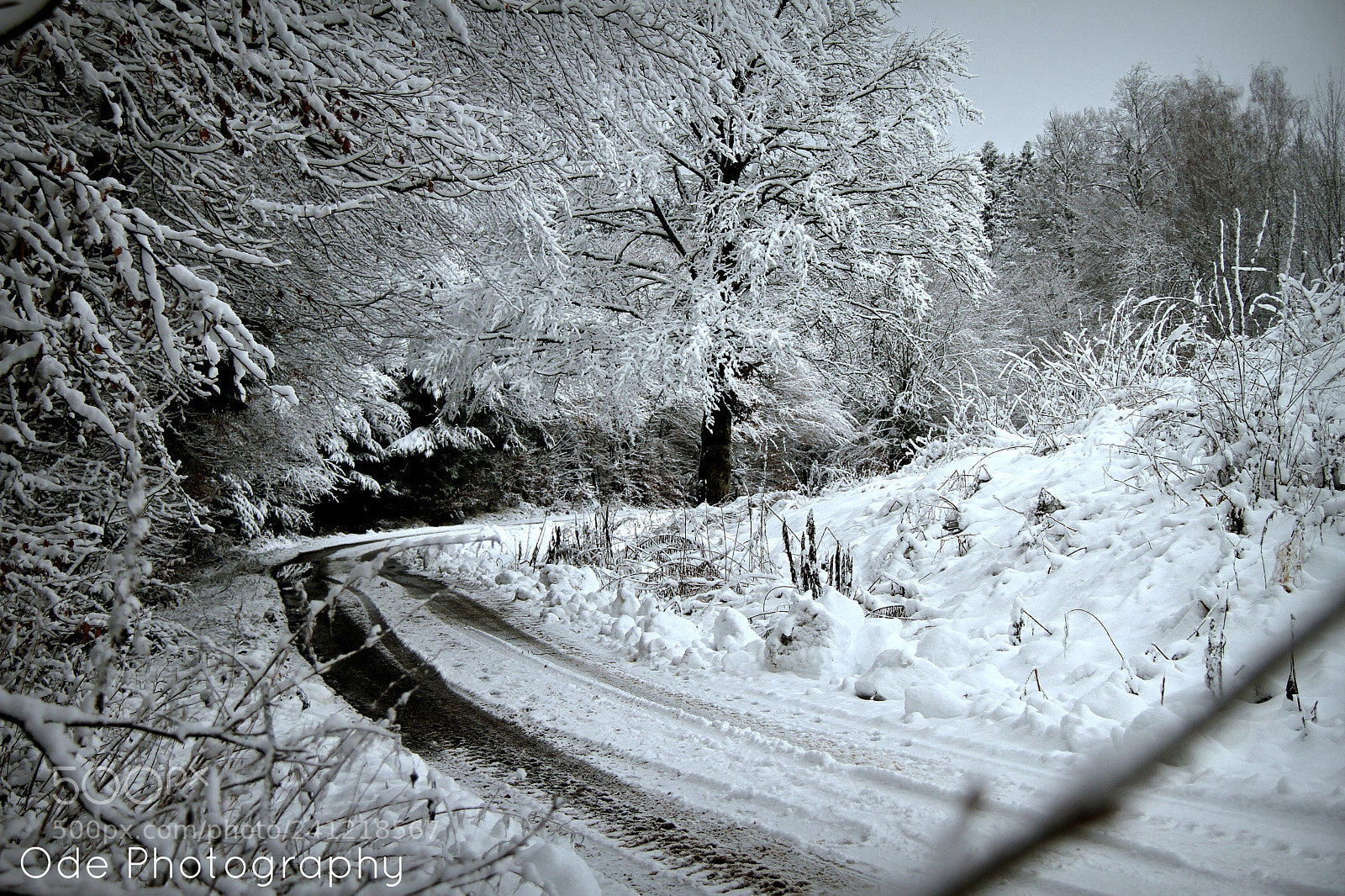 Canon EF-S 18-200mm F3.5-5.6 IS sample photo. Winter wonderland photography