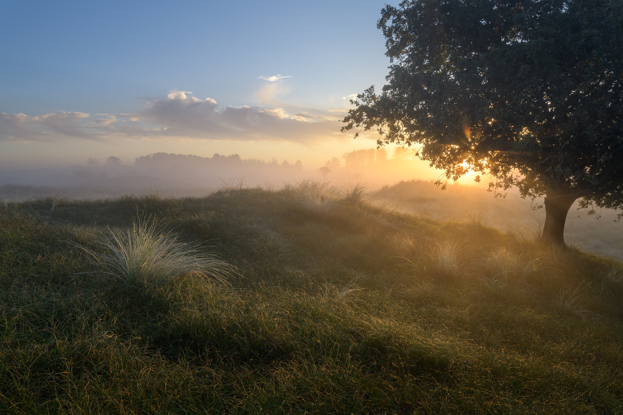 Sunrise with the D850