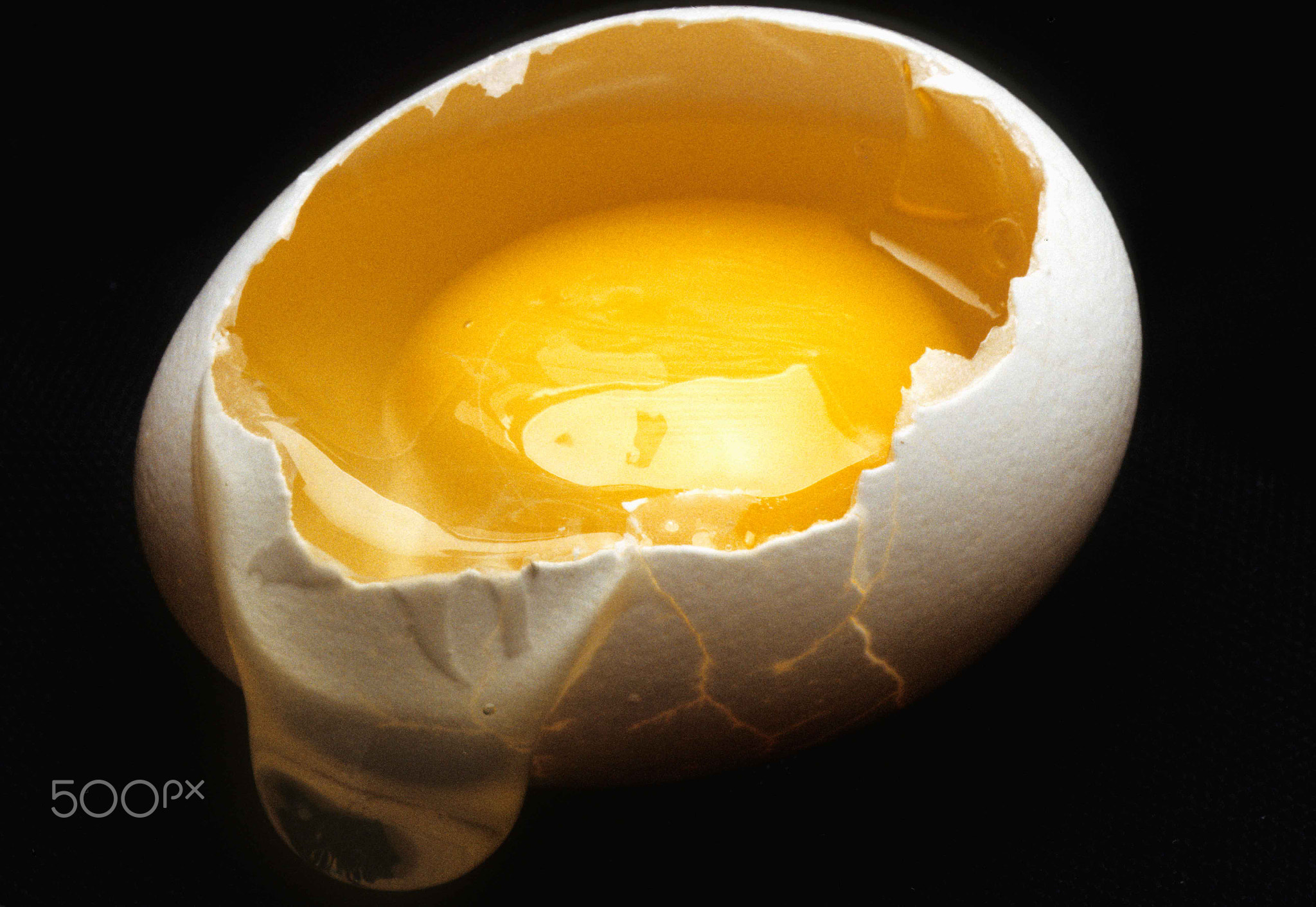 Egg