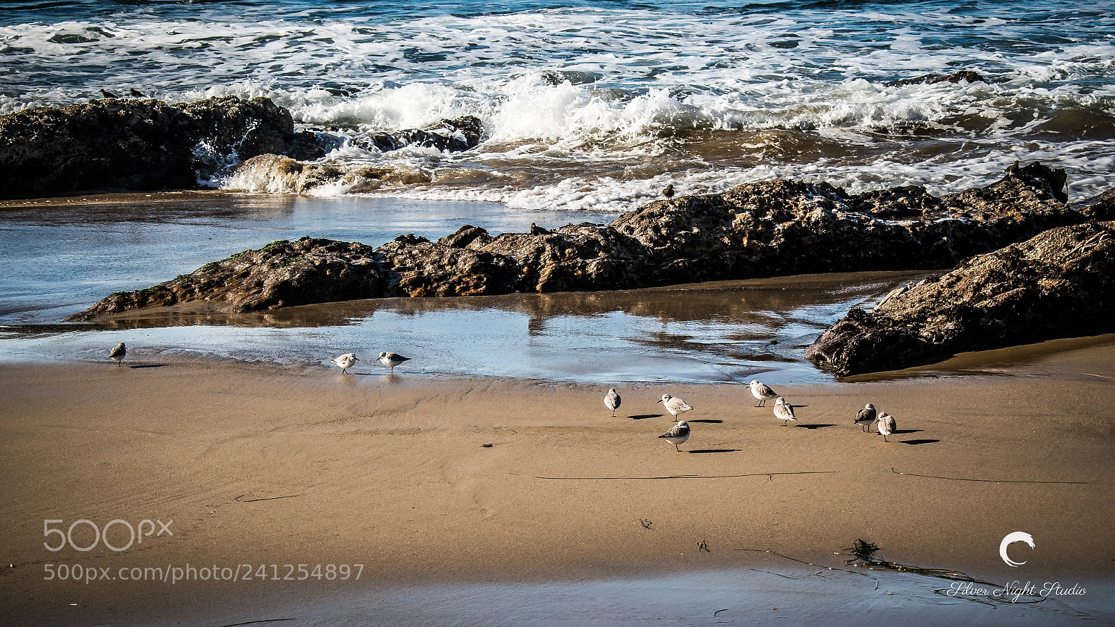 Nikon D5600 sample photo. Minuteman beach photography