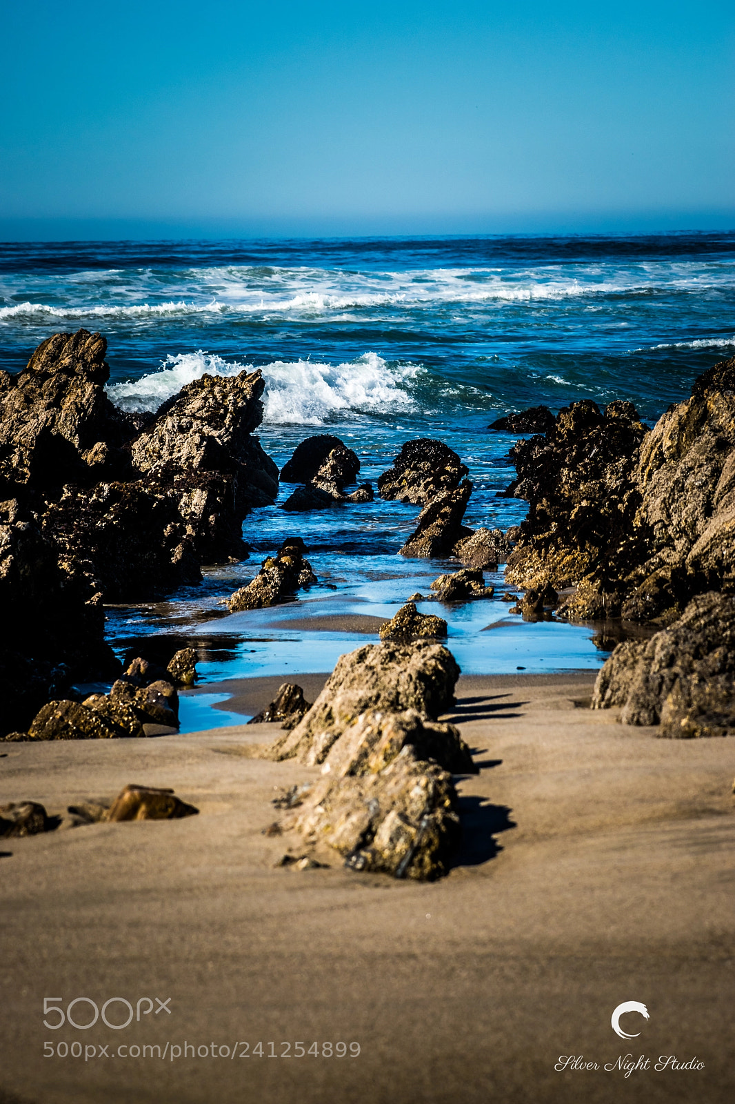 Nikon D5600 sample photo. Minuteman beach photography