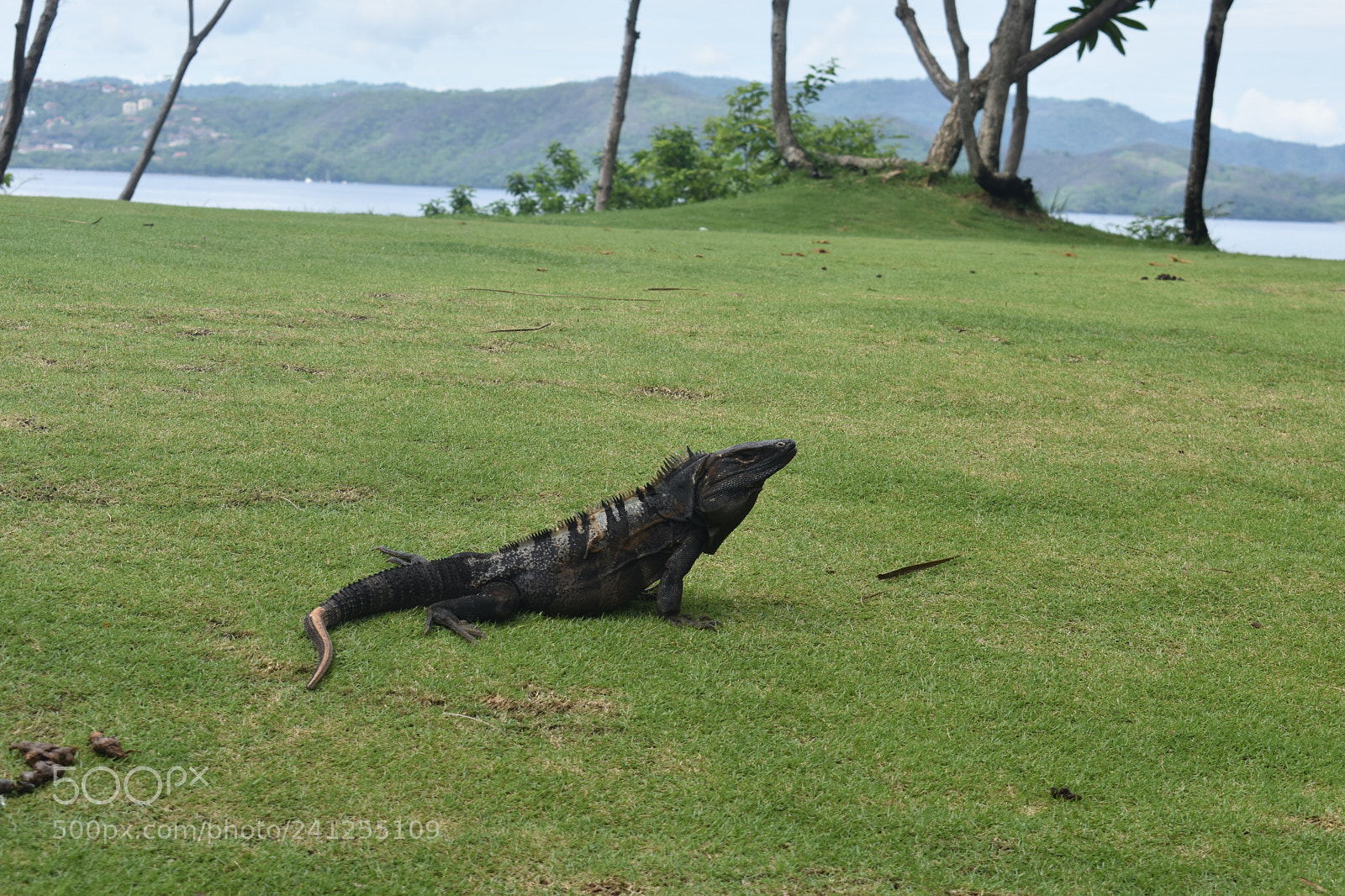 Nikon D3400 sample photo. Dsc photography