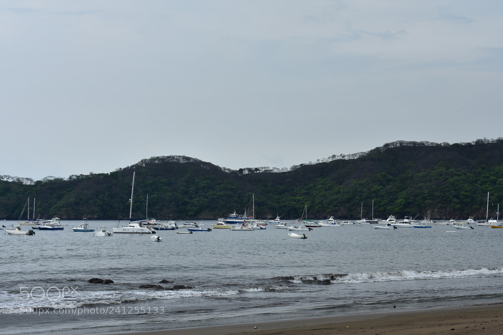 Nikon D3400 sample photo. Dsc photography