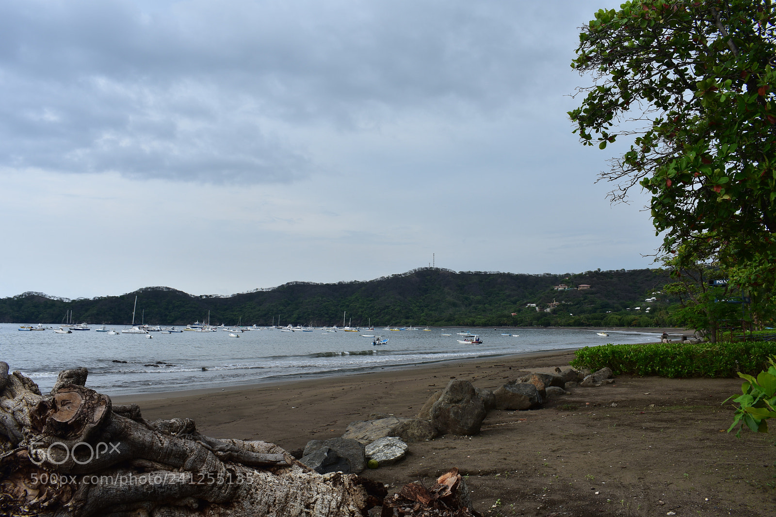 Nikon D3400 sample photo. Dsc photography
