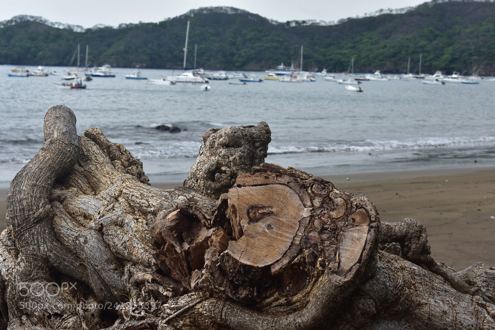 Nikon D3400 sample photo. Costa rica photography