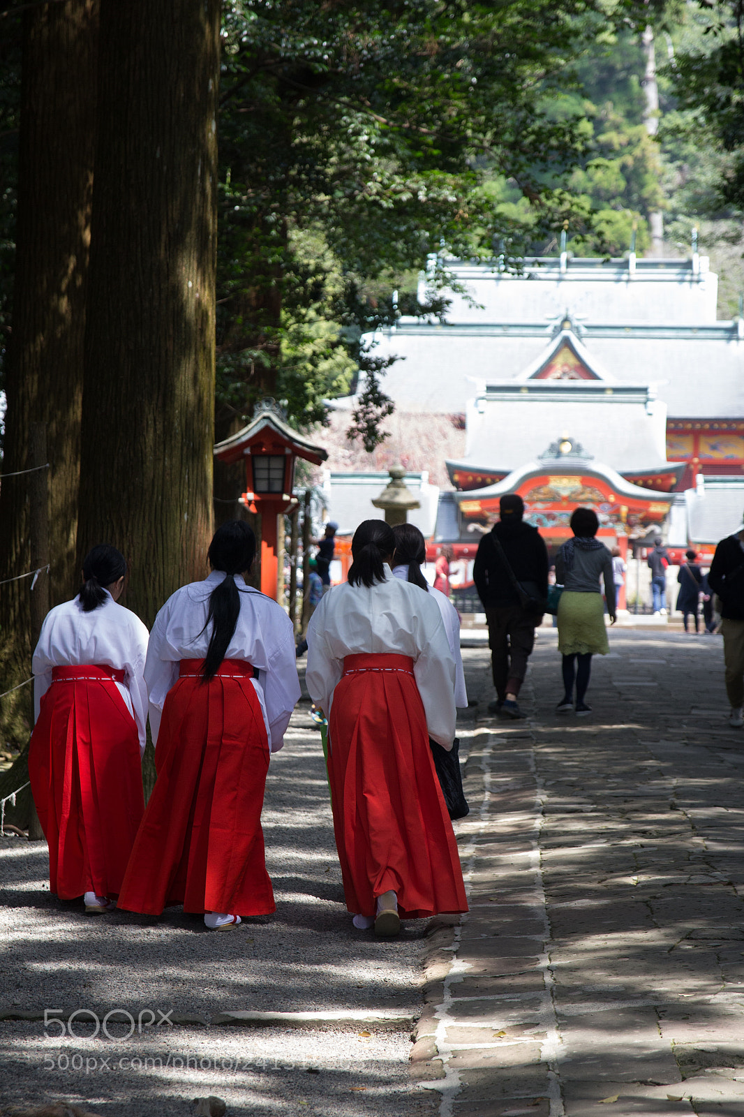 Canon EOS 600D (Rebel EOS T3i / EOS Kiss X5) sample photo. 巫女 photography