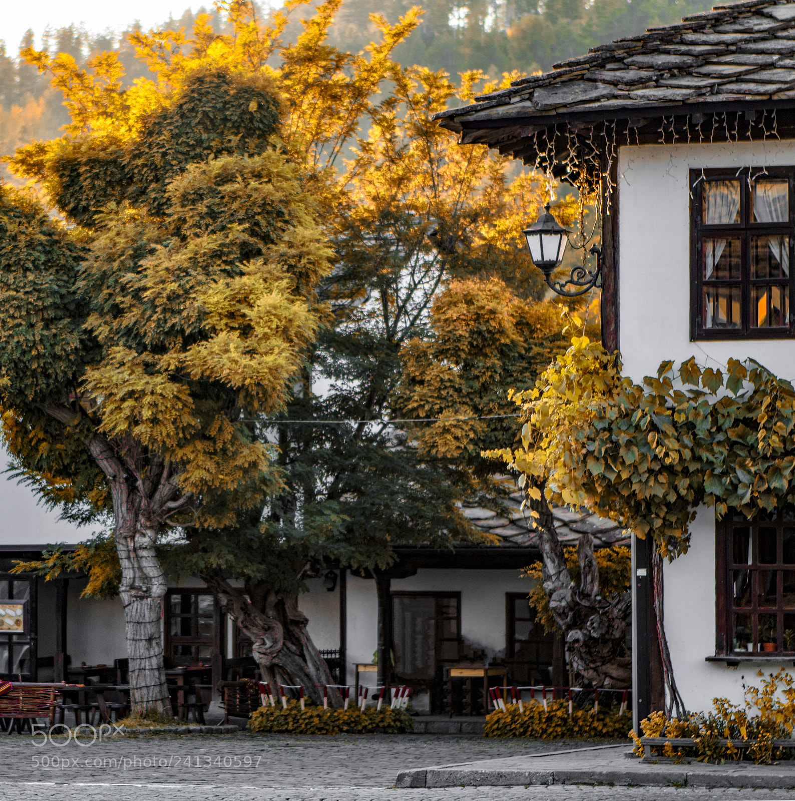Canon EOS 750D (EOS Rebel T6i / EOS Kiss X8i) sample photo. Tryavna photography