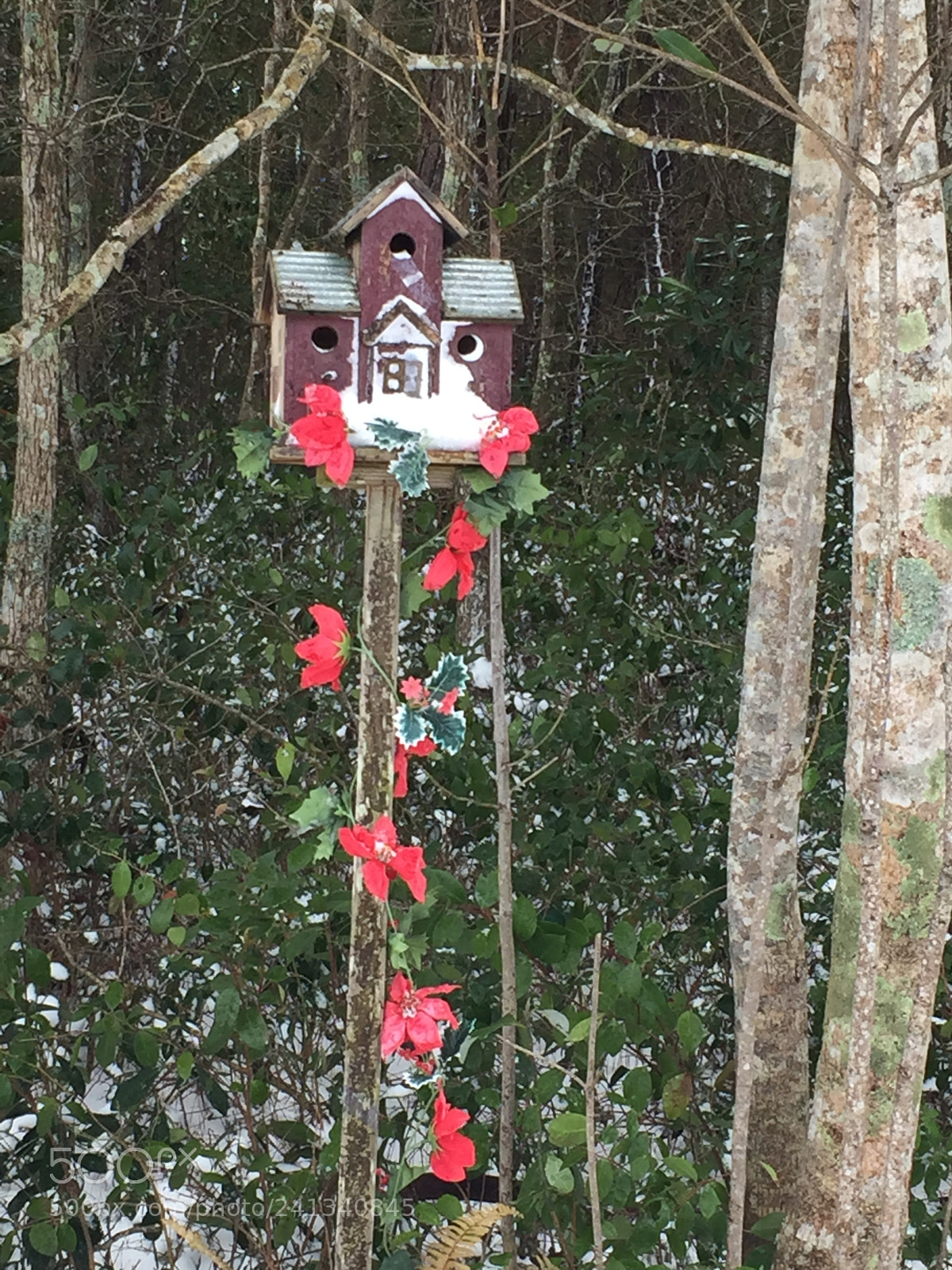 Apple iPhone 6 sample photo. Birdhouse photography